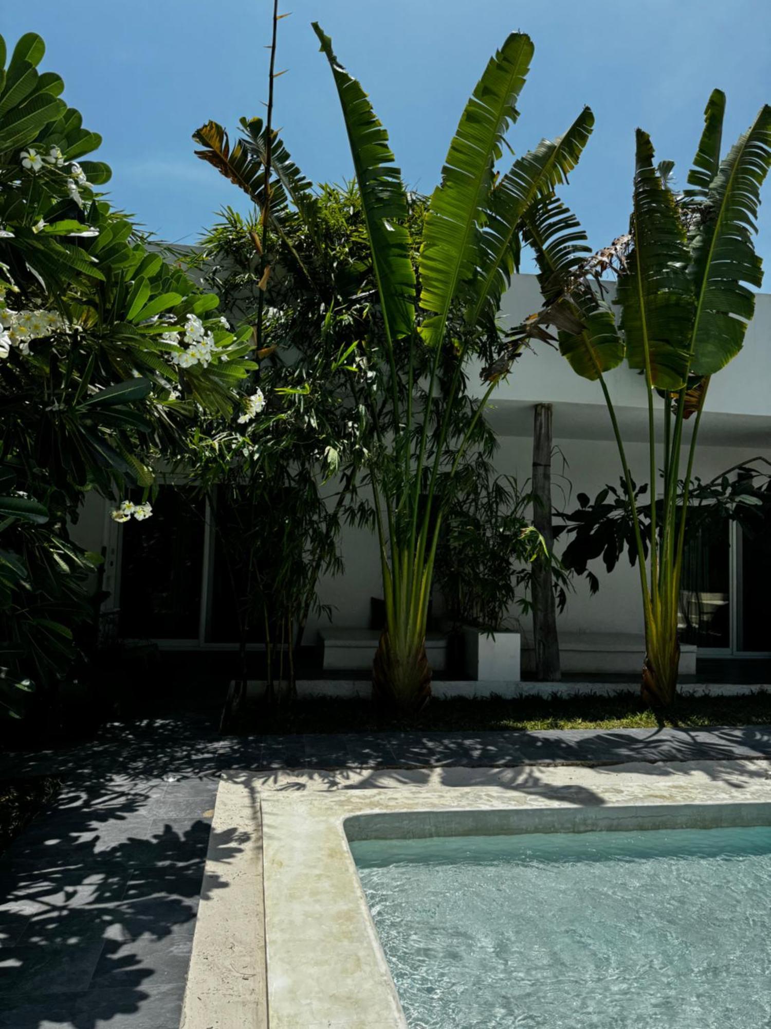 La Base Hotel Kiwengwa (Zanzibar) Kültér fotó